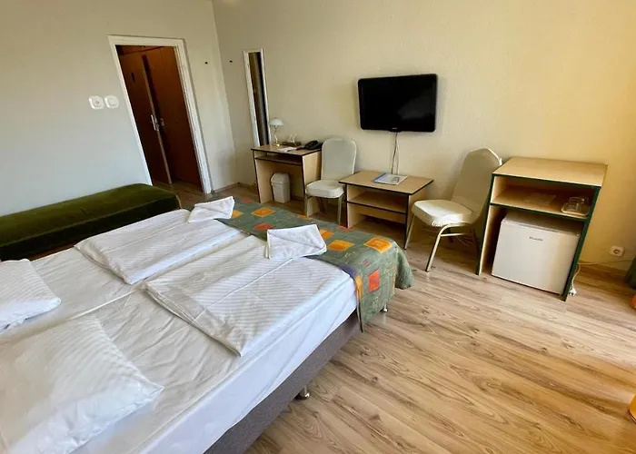 酒店 Magistern Konferencia Es Wellnesshotel 希欧福克